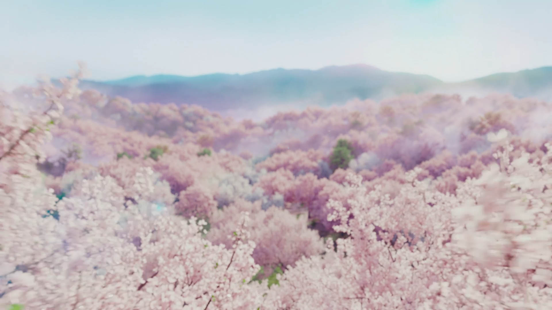 - KALLE ROVANPERÄ & KEN GUSHI -【GR x McDonald’s】