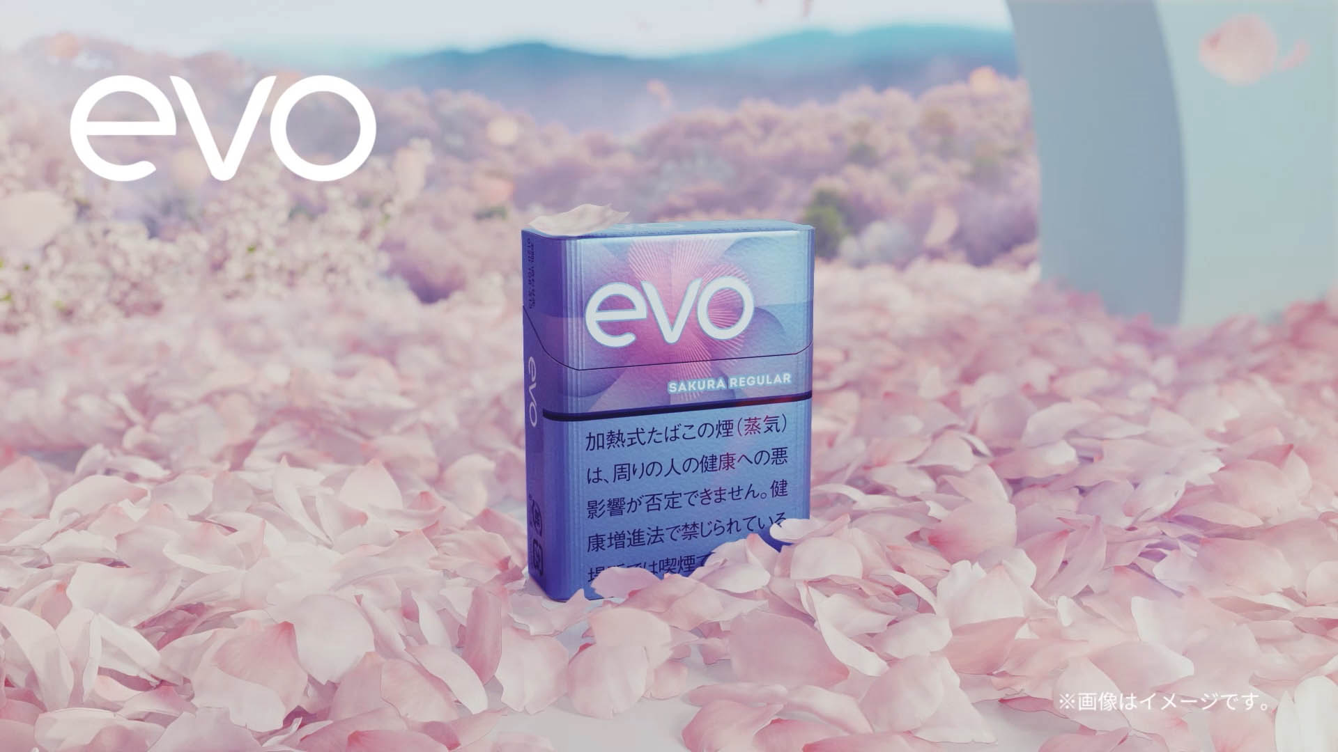 JT　ploom　エボ・サクラ・レギュラー